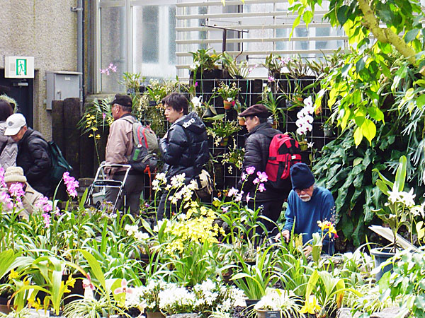 観覧温室を見学