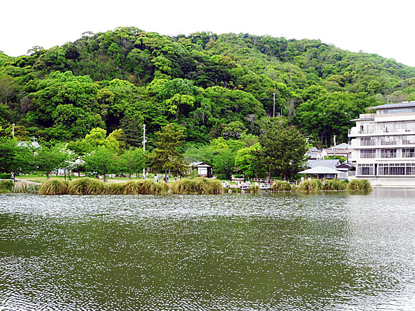 須磨寺公園堂谷池