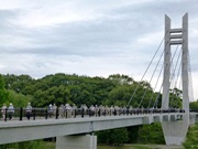 昨春完成の「山田池美月橋」を渡る