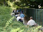免除川右岸を往く