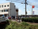 お茶の苗畑を横目に西へ