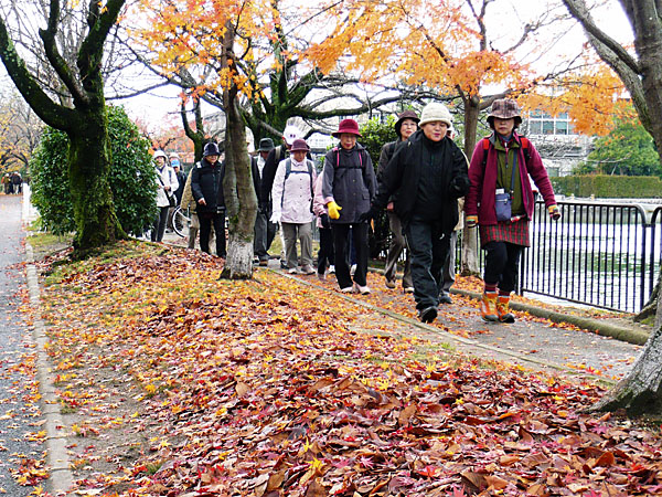 紅葉が残る遊歩道