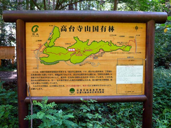 >h䎛RLсhW