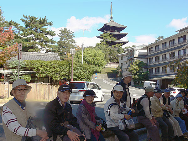五重塔が見える