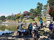 猿沢池湖畔の公園