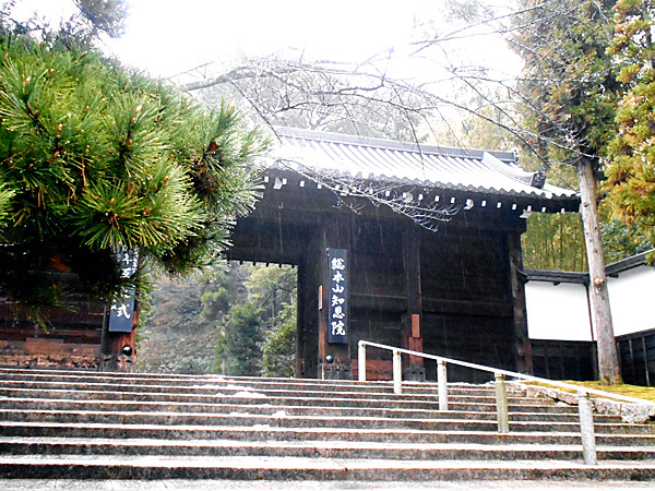 浄土宗の総本山知恩院