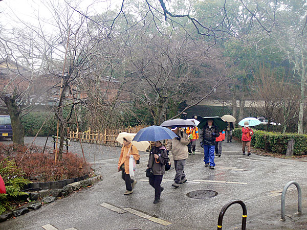 円山公園の上