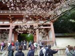 醍醐寺