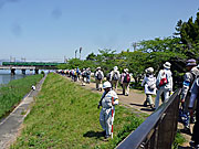 瀬田川左岸を出発