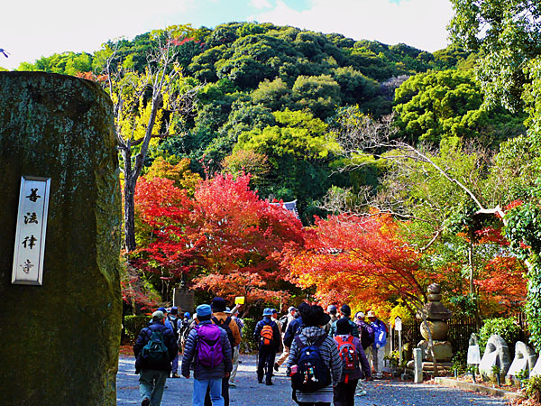 善法律寺（紅葉寺）