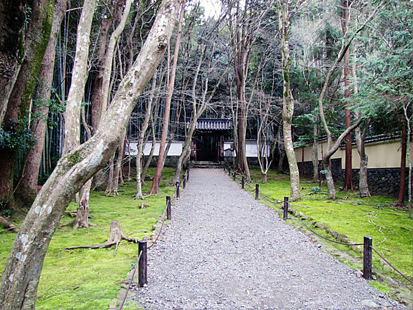 竹の寺地蔵院