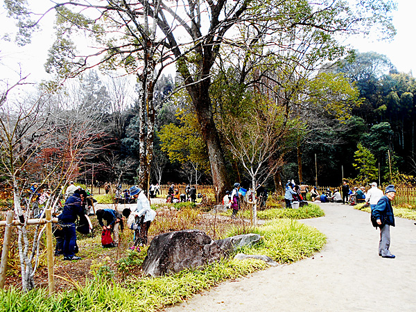 華厳寺手前の公園で昼食休憩