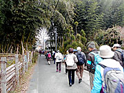 竹林の小道を行く