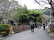 西芳寺川を渡る