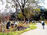 華厳寺手前の公園で昼食休憩