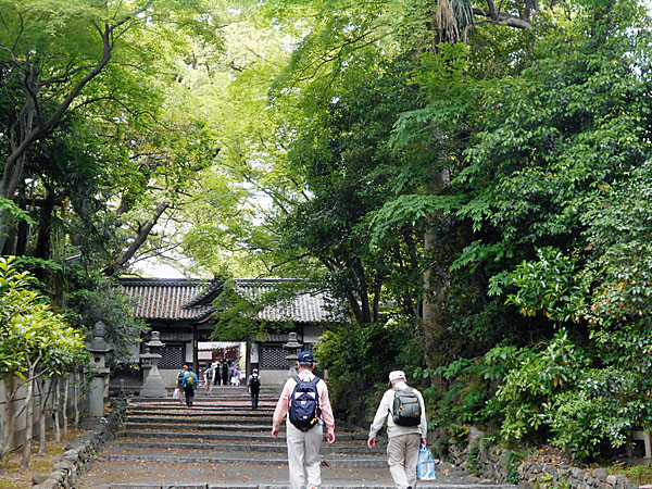伊居太神社境内