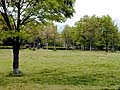王仁公園の芝生の広場