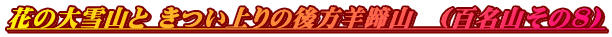 Ԃ̑R ̌rR@(SR̂Wj