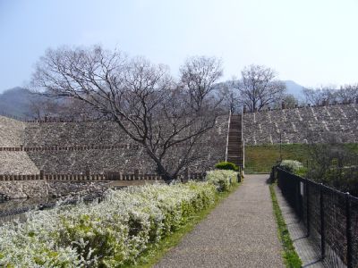  hspace