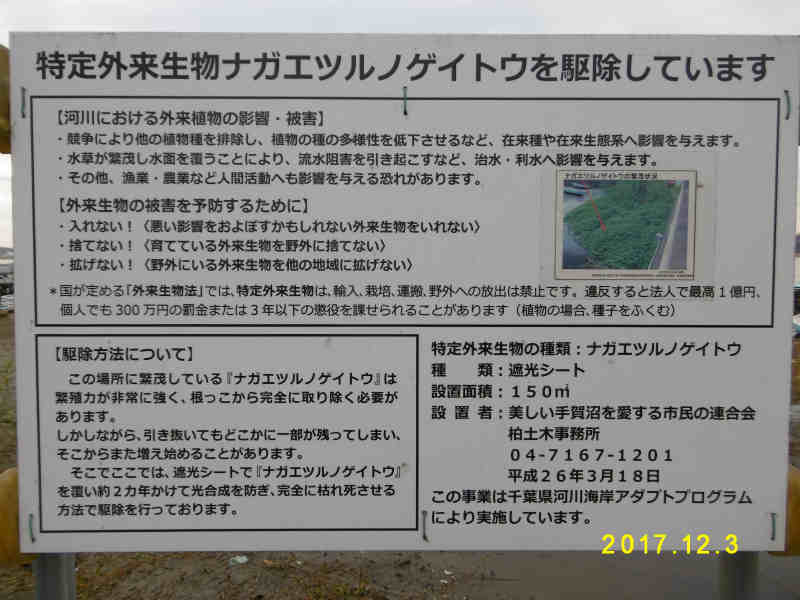 113.jpg