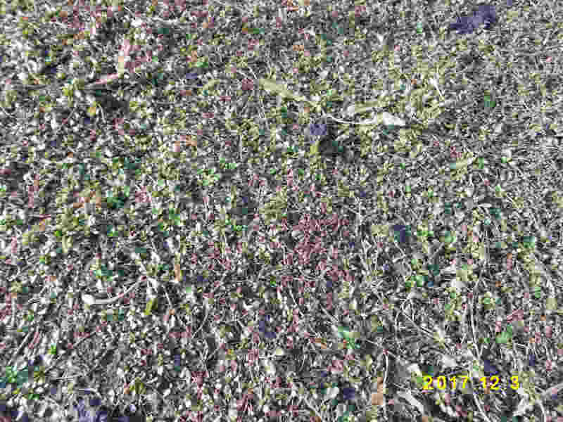 115.jpg