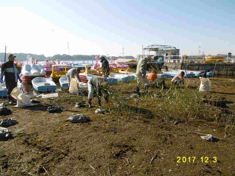118.jpg